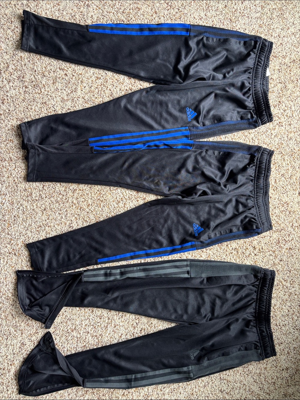 adidas Black Track Pants Trio with Blue and Gray Stripes